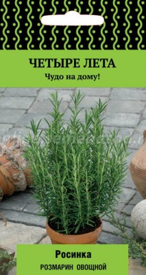 Rosemary officinalis Dewdrop (serie Four Summer)