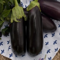 Eggplant "Black Opal"