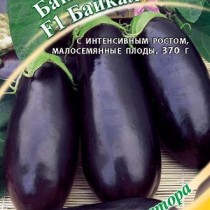 Eggplant hybrid Baikal F1