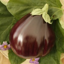Eggplant hybrid Bull's Heart F1