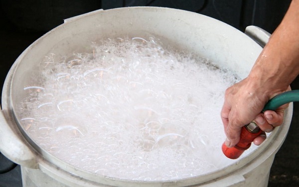 Penyelesaian sabun untuk hama pada terung