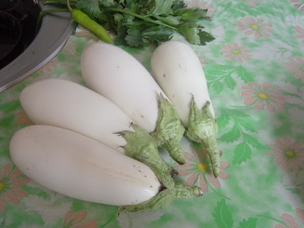 Witte aubergine op tafel