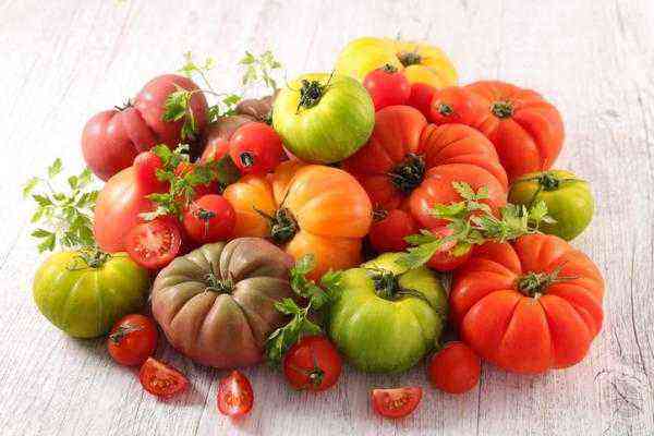 +30 tipos de tomatoes