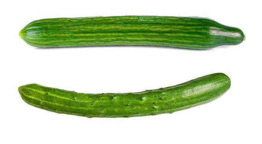 6 typer agurker: Russiske, asiatiske eller tyske skjorteagurker, kugleagurker og kinesiske slangeagurker