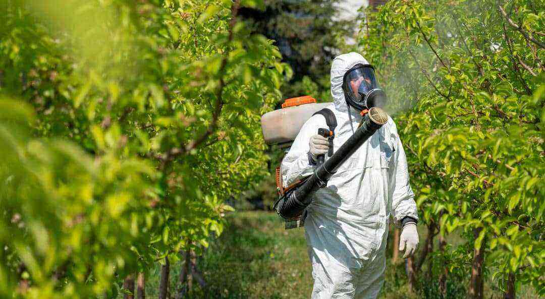 Man applying insecticide with sprayer.