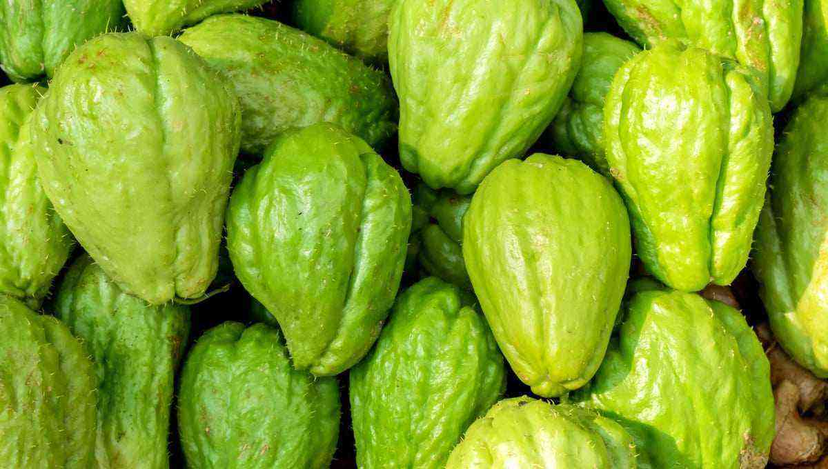 Chayote: how to plant and its health benefits