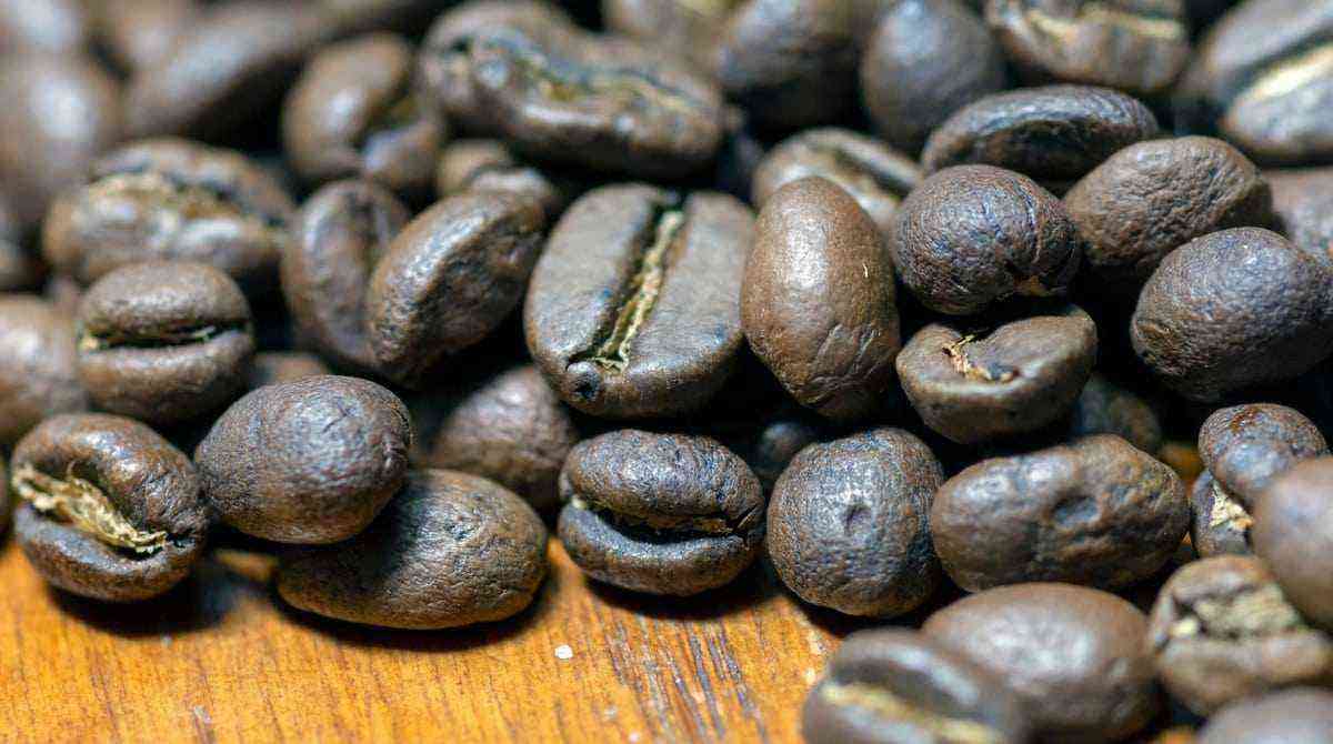 Conilon coffee: know everything about this cultivation