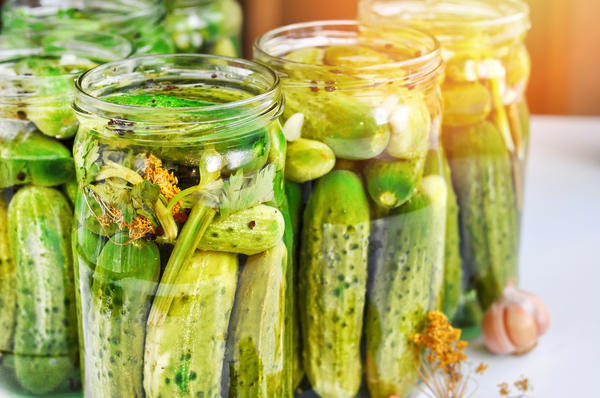 For pickling, it is more convenient to take cucumbers of the same size.
