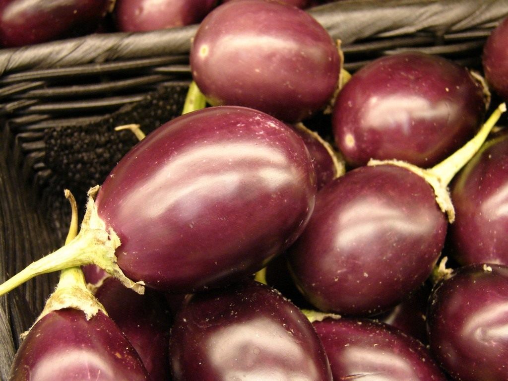 Eggplant (Solanum melongena)