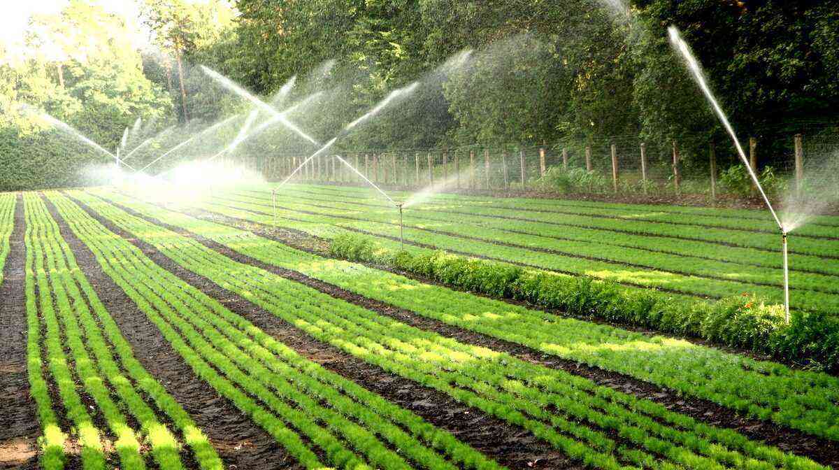 Farming with irrigation system