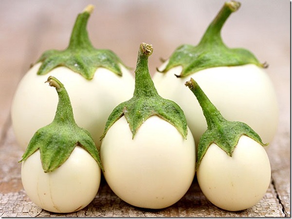 Harvest of white eggplants on the table