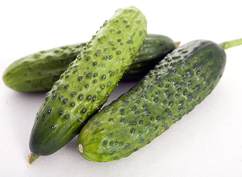 How to grow beautiful cucumbers