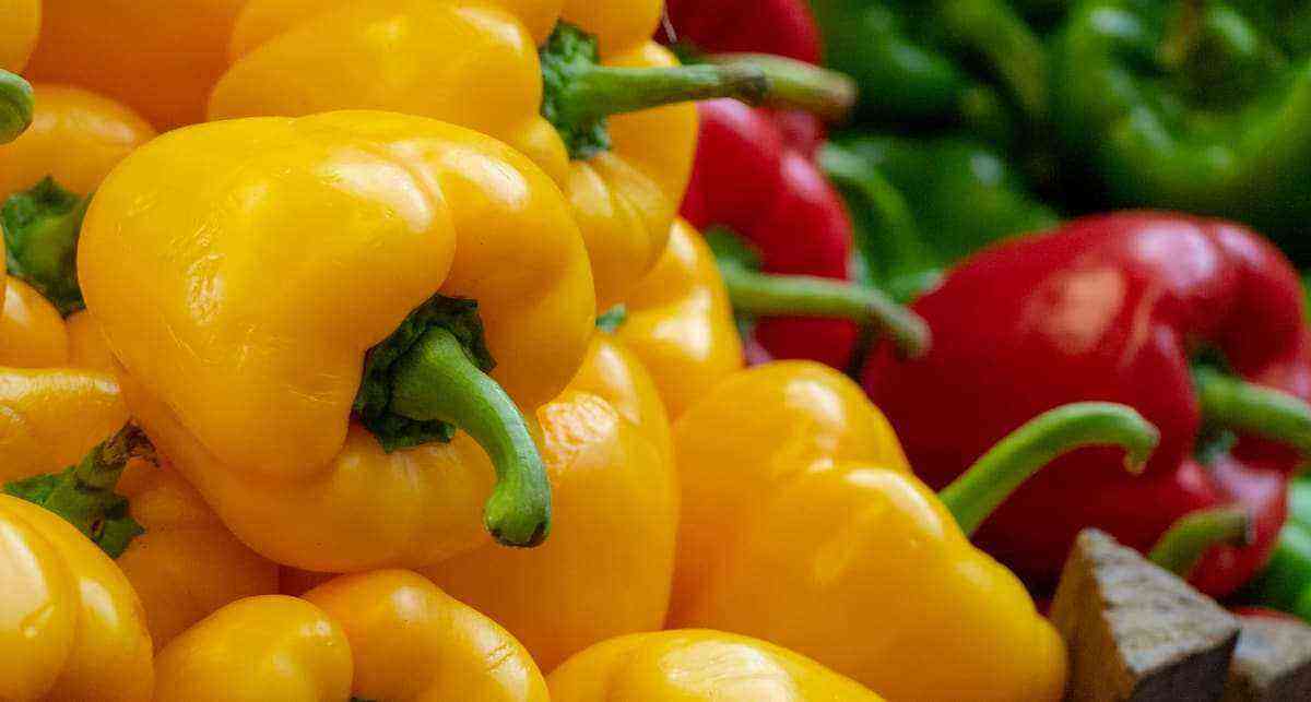 How to plant bell peppers: growing tips
