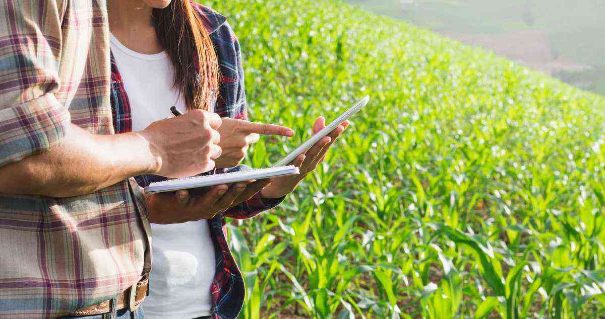 Importance of planting planning in agriculture