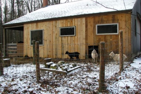 Goat shed