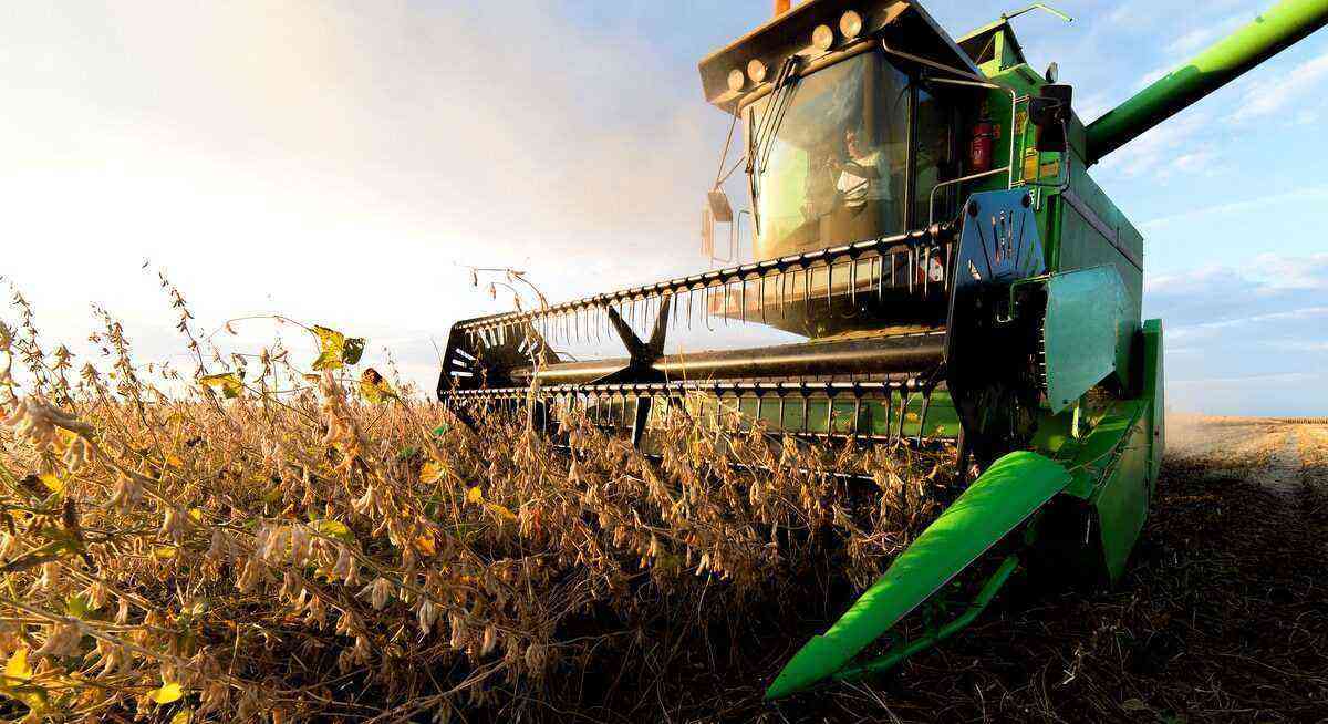 Soybean harvest and storage concerns