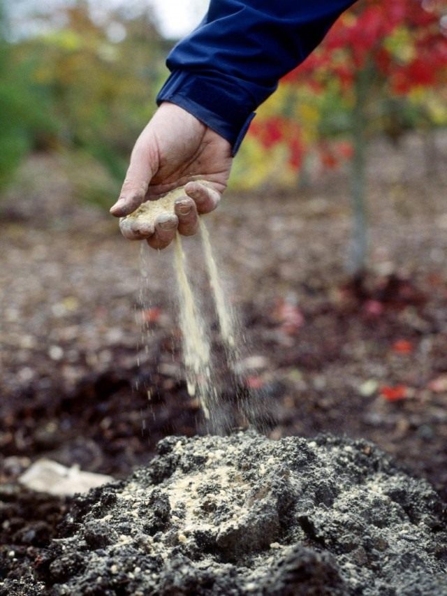 Fertilizing the soil