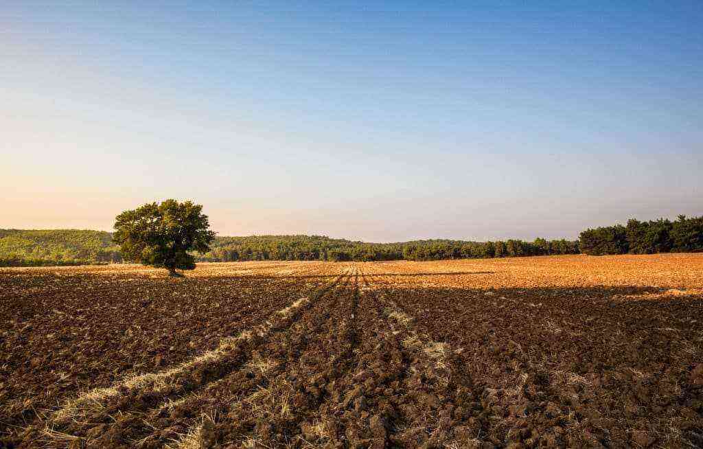 Soil management on a sustainable farm