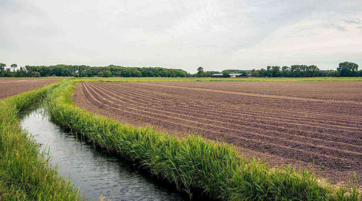 The importance of soil drainage in agriculture