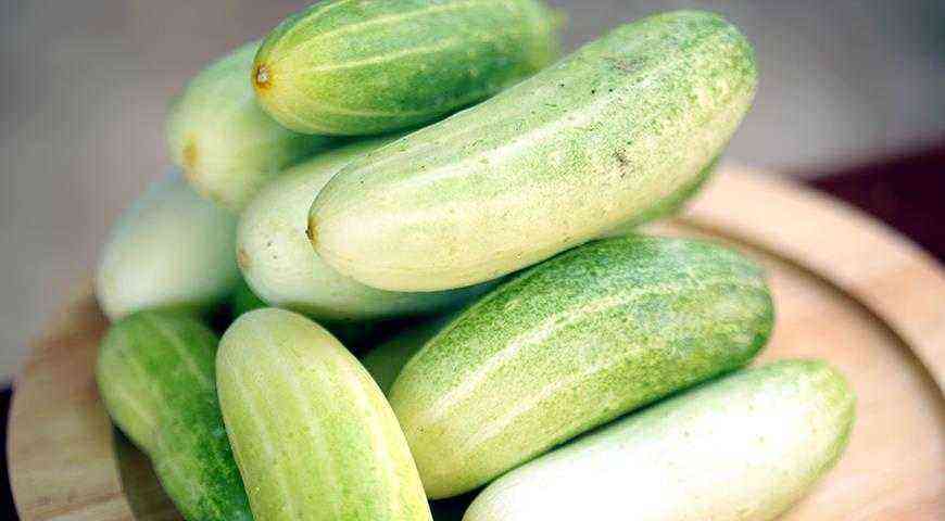What is a parthenocarpic cucumber hybrid? Where to plant them: in a greenhouse or in open ground?