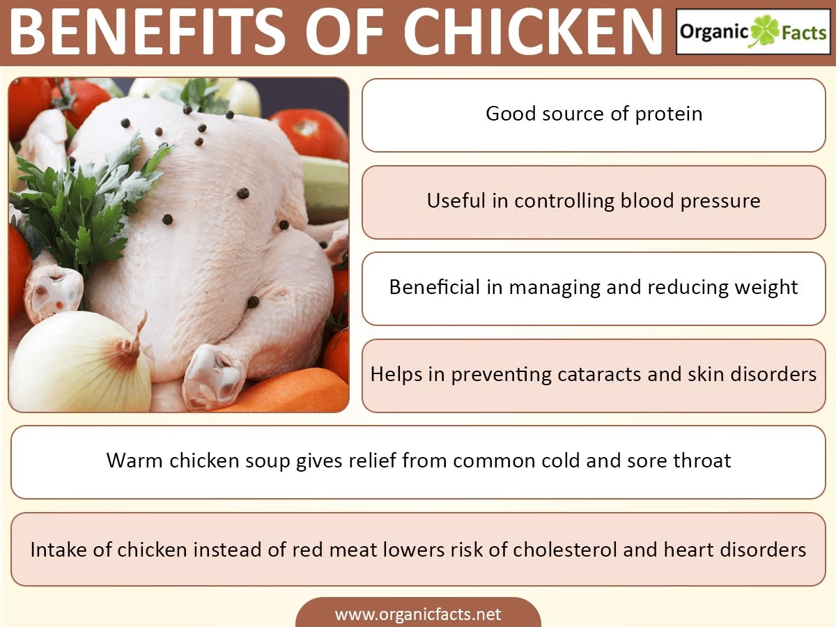 Chicken meat benefits and harms