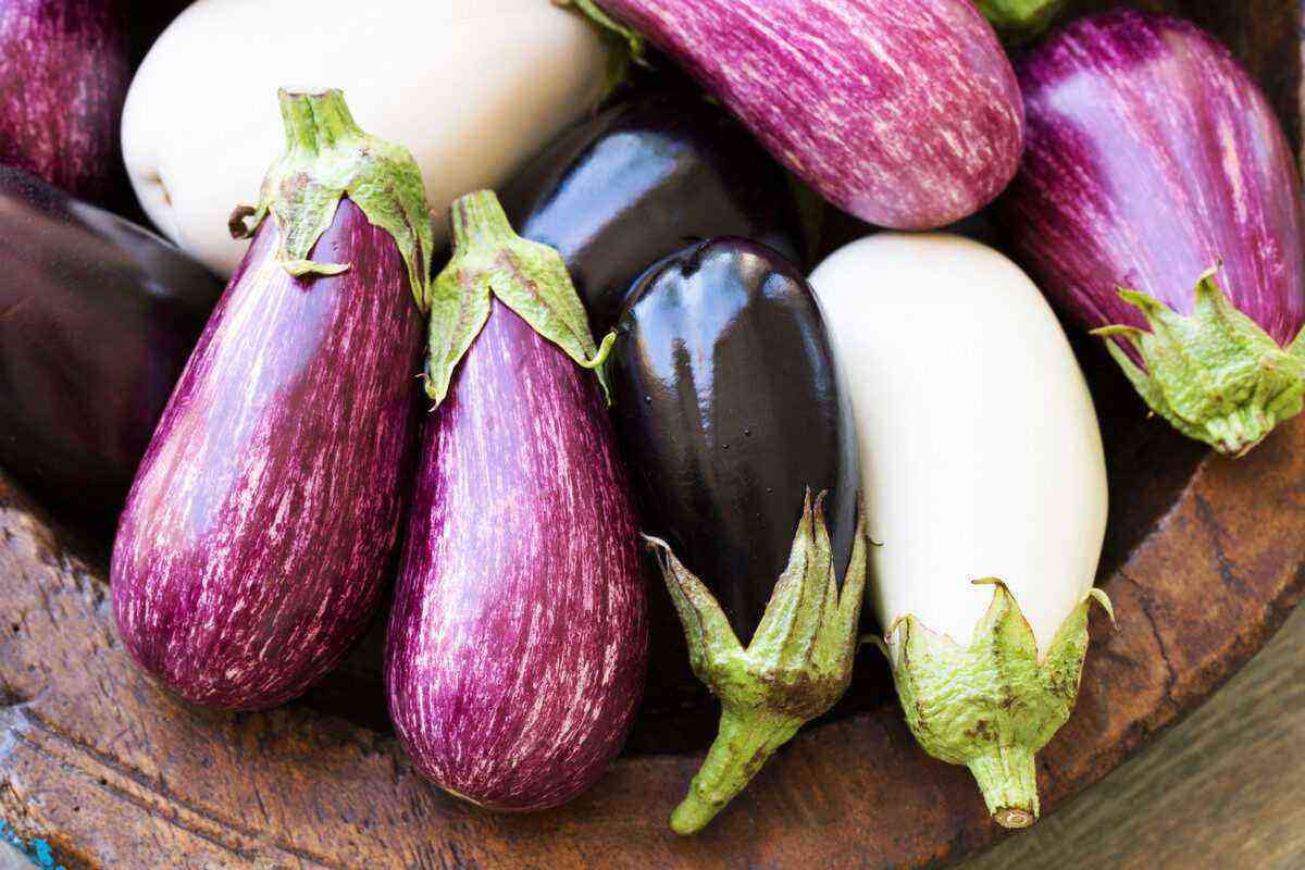 Eggplant palette - about the taste of eggplants of different colors