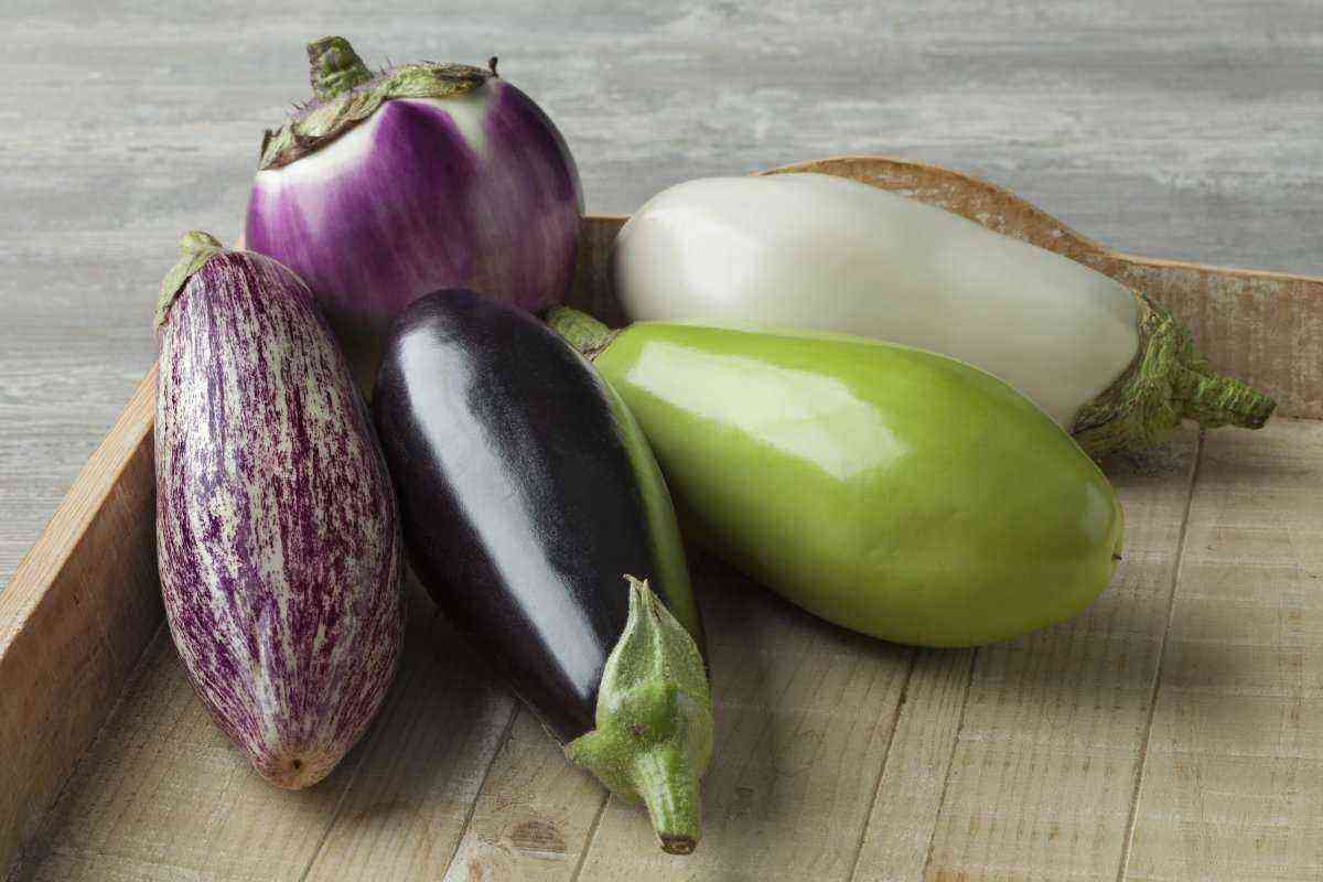 Insecticide-Fungicide Eggplant rescuer Fertilizer 