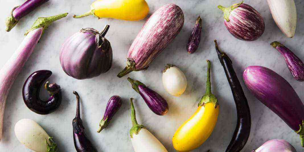 The best new eggplant varieties and hybrids for greenhouses and open ground
