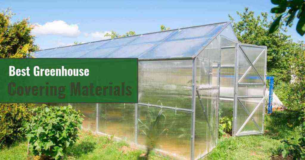 Greenhouse for cucumbers: polycarbonate, glass or film, which is better?