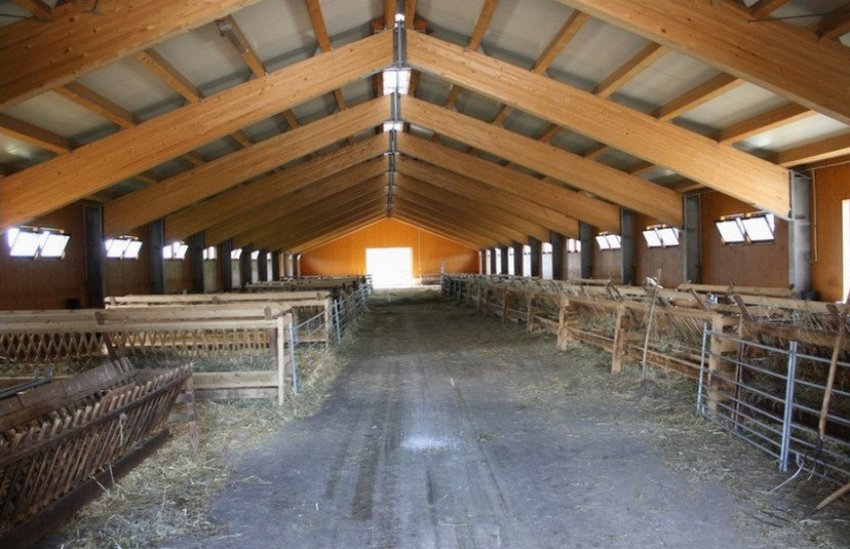 Sheep barn