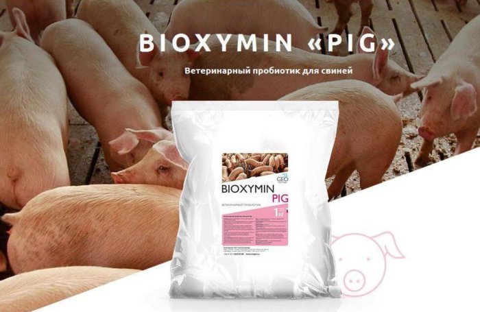 Forberedelse Bioximin