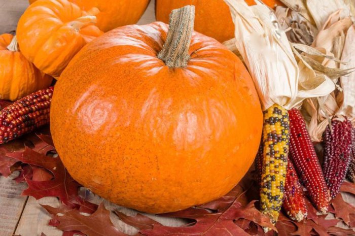 pumpkin and corn