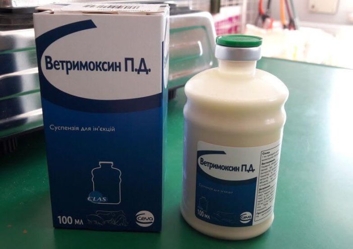 Vetrimoxin untuk rawatan antibakteria babi