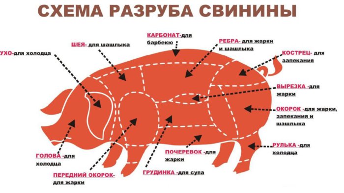 Esquema de corte de carne de porco