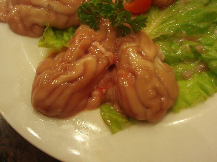 Pig brains for salad