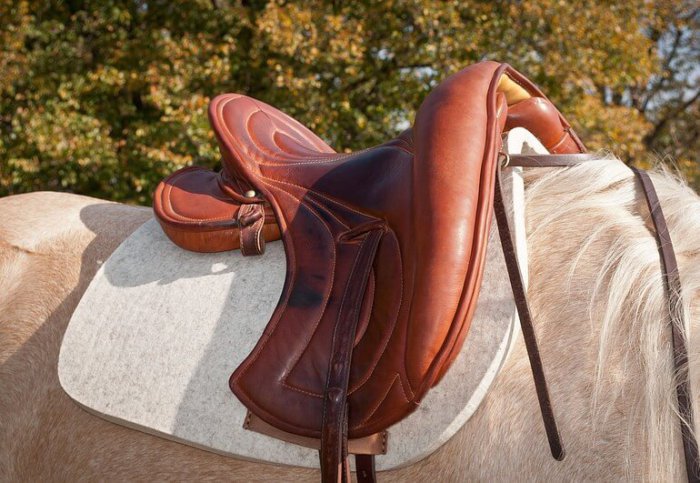 Shelf saddle