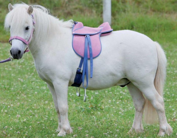 pony saddle