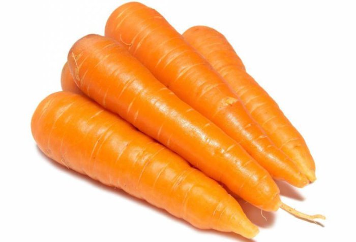 Carrots for feeding young animals