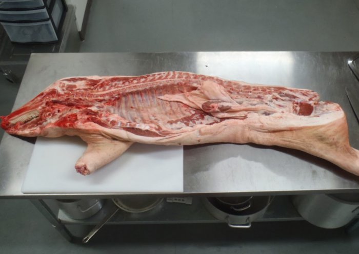 لحم الخنزير نصف الذبيحة