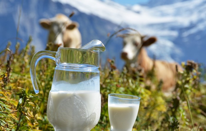 Pathogens are released into the environment along with milk