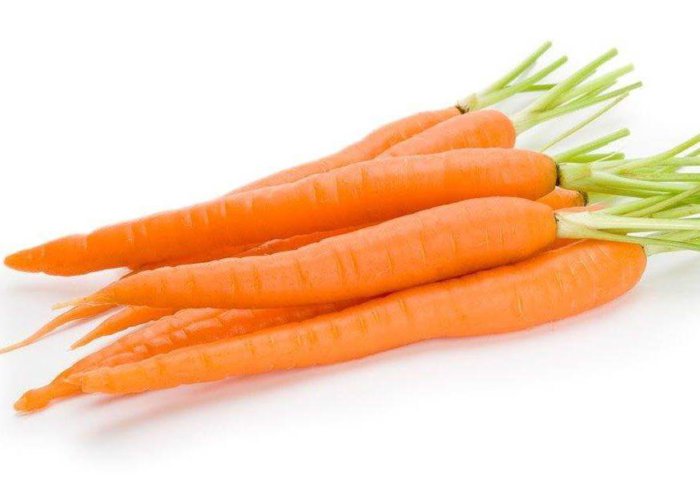 Carrots for cows