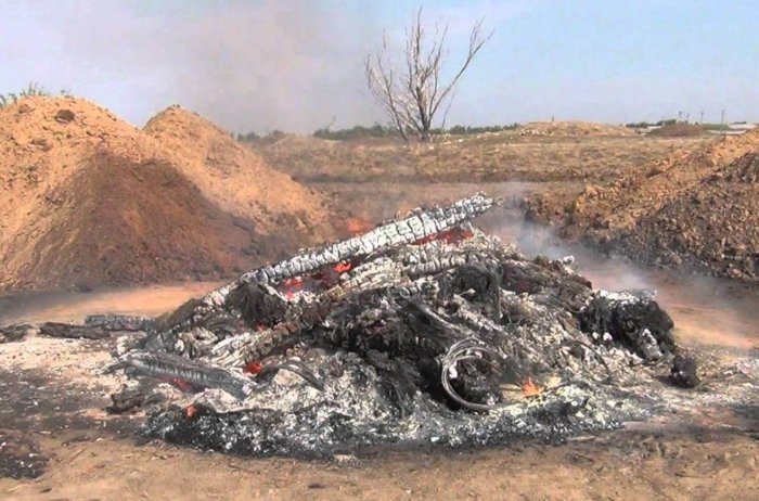 Infected animal carcasses are burned