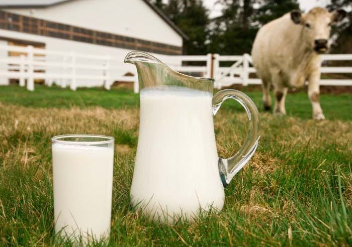 牛乳の生産量は時間の経過とともに減少します