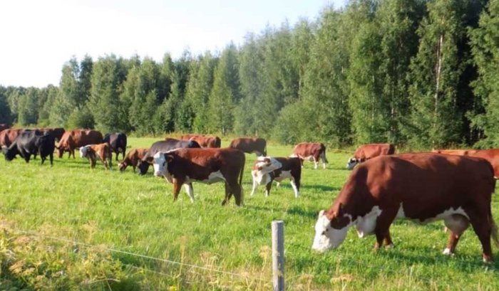 Maintenance in a grazing system
