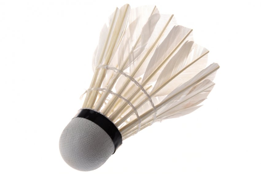 Shuttlecock for badminton