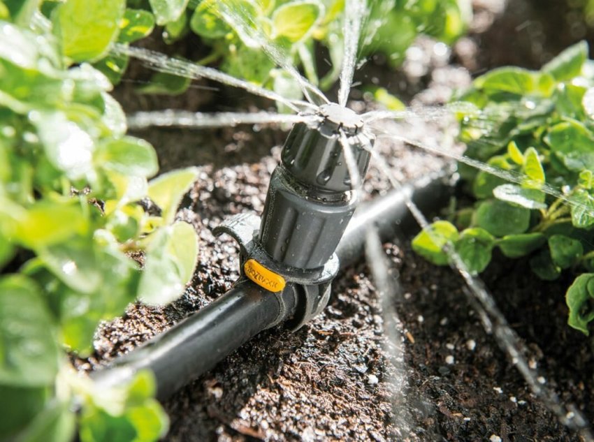 Drip irrigation for greenhouse