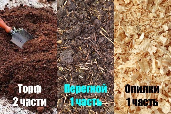 Peat + humus + sawdust