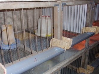 How to make and equip cages for chickens with your own hands?