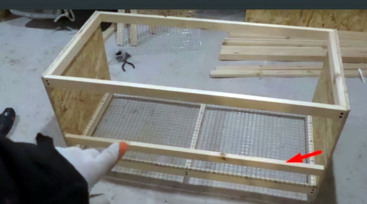 How to make a brooder for turkeys with your own hands?