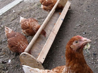 Feeders for chickens: types, subtleties of choice and manufacture